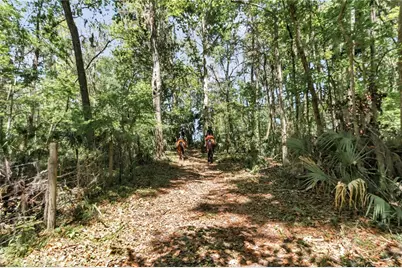 7000 NW Hwy 320, Micanopy, FL 32667 - Photo 91