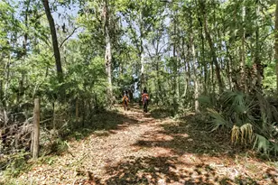 7000 NW Hwy 320, Micanopy, FL 32667 - Photo 91