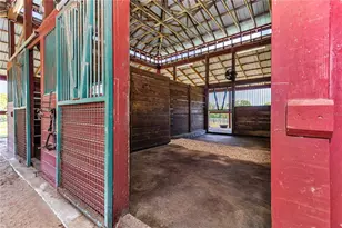 7000 NW Hwy 320, Micanopy, FL 32667 - Photo 71