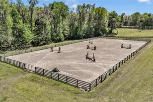 7000 NW Hwy 320, Micanopy, FL 32667 - Photo 3