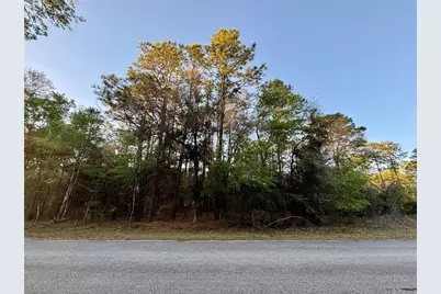 Lot 33 SW 97 Place, Dunnellon, FL 34431 - Photo 3