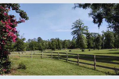 14515 W Highway 328, Ocala, FL 34482 - Photo 31