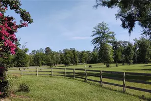 14515 W Hwy 328, Ocala, FL 34482 - Photo 31