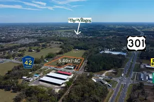 6910 SE Hwy 42, Summerfield, FL 34491 - Photo 1