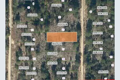 00 SW 57th Avenue, Interlachen, FL 32148 - Photo 1