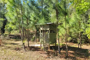 10851 SE 195th St, Inglis, FL 34449 - Photo 23