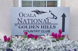 7699 NW 56th Pl, Ocala, FL 34482 - Photo 71