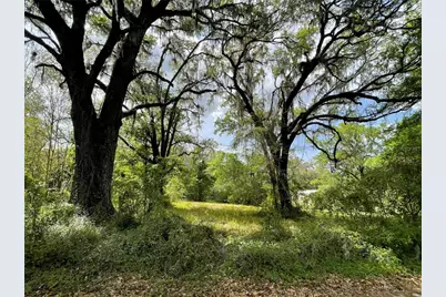 17400 NW 120th Ave Road, Reddick, FL 32686 - Photo 13