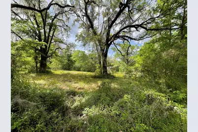 17400 NW 120th Ave Road, Reddick, FL 32686 - Photo 27