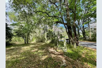 17400 NW 120th Ave Road, Reddick, FL 32686 - Photo 11