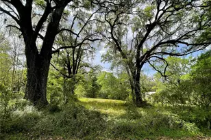17400 NW 120th Ave Rd, Reddick, FL 32686 - Photo 1