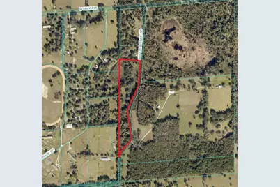 17400 NW 120th Ave Road, Reddick, FL 32686 - Photo 5