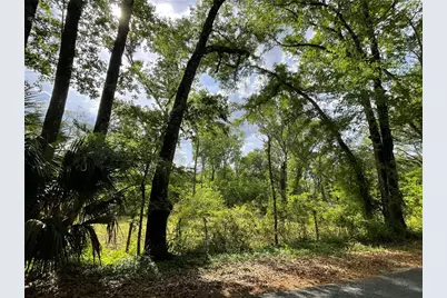 17400 NW 120th Ave Road, Reddick, FL 32686 - Photo 11