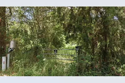 17400 NW 120th Ave Road, Reddick, FL 32686 - Photo 7