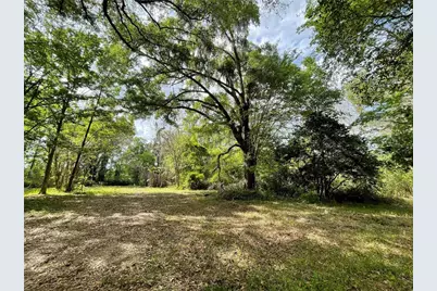 17400 NW 120th Ave Road, Reddick, FL 32686 - Photo 5