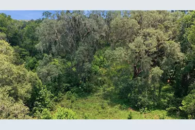 17400 NW 120th Ave Road, Reddick, FL 32686 - Photo 9