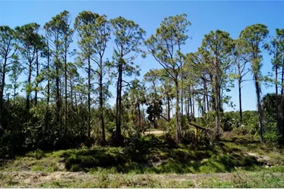 Chorley Avenue, North Port, FL 34291 - Photo 9