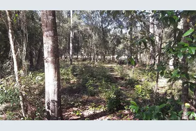0 SE 204th Court, Umatilla, FL 32784 - Photo 1