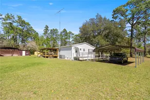 2670 SE 141 Ave, Morriston, FL 32668 - Photo 3