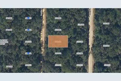 00 Heather Avenue, Interlachen, FL 32148 - Photo 1