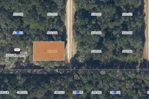 00 Donys Ave, Interlachen, FL 32148 - Photo 1