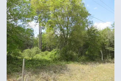 0 SE 180 Ave Road, Ocklawaha, FL 32179 - Photo 3
