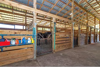 12490 NW Highway 320, Micanopy, FL 32667 - Photo 77