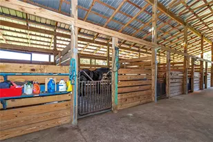 12490 NW Hwy 320, Micanopy, FL 32667 - Photo 77