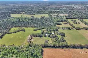 12490 NW Hwy 320, Micanopy, FL 32667 - Photo 89