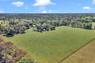 12490 NW Hwy 320, Micanopy, FL 32667 - Photo 91