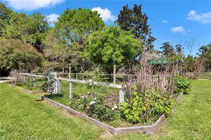 12490 NW Hwy 320, Micanopy, FL 32667 - Photo 87