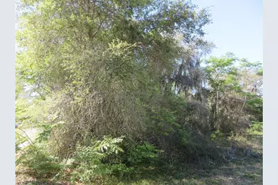 0 SE 188th Avenue, Silver Springs, FL 34488 - Photo 3