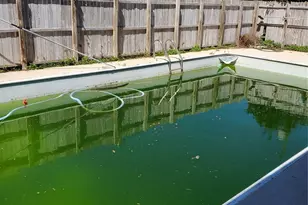 17428 SE 37th Ln, Ocklawaha, FL 32179 - Photo 19