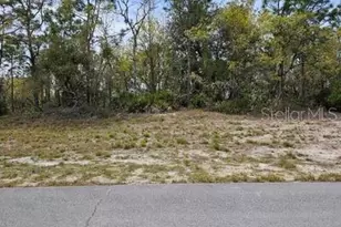 00 SW 77th Ave, Ocala, FL 34473 - Photo 1