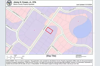 0 Orange Rd, Ocklawaha, FL 32179 - Photo 3