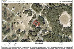 0 Orange Rd, Ocklawaha, FL 32179 - Photo 1