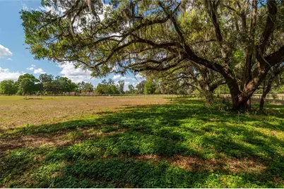 6124 NW 160th Street, Reddick, FL 32686 - Photo 31