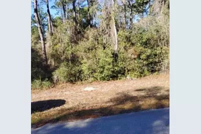 Lot 138 SE 168th Terrace, Ocklawaha, FL 32179 - Photo 3