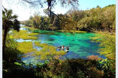 Lot #228 & #229 St. George Drive & San Mateo Boulevard, Dunnellon, FL 34432 - Photo 3