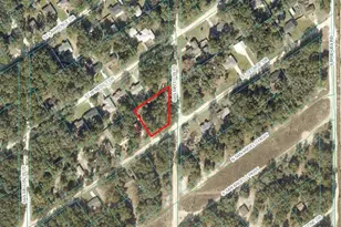 Lot #228 & #229 St George Dr & San Mateo Blvd, Dunnellon, FL 34432 - Photo 1