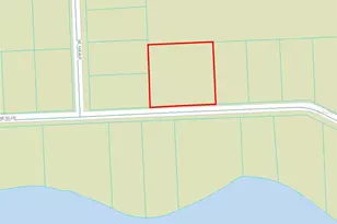 SE 63 Ln, Ocklawaha, FL 32179 - Photo 1