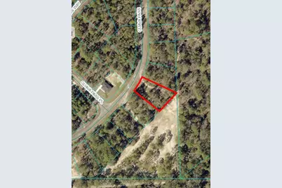 164 Guava Pass, Ocklawaha, FL 32179 - Photo 3