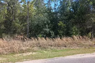 164 Guava Pass, Ocklawaha, FL 32179 - Photo 1