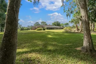 5950 SW 21st Avenue Rd, Ocala, FL 34471 - Photo 93