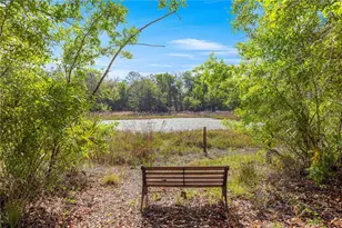 9235 SE 193rd Ave, Ocklawaha, FL 32179 - Photo 5