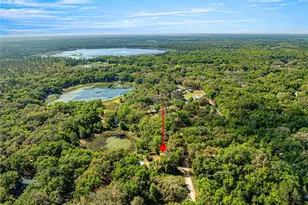 9235 SE 193rd Ave, Ocklawaha, FL 32179 - Photo 19