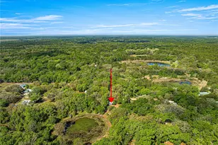 9235 SE 193rd Ave, Ocklawaha, FL 32179 - Photo 21