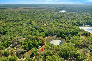 9235 SE 193rd Ave, Ocklawaha, FL 32179 - Photo 23