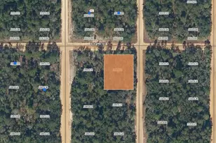 00 Shappell Ave, Interlachen, FL 32148 - Photo 1