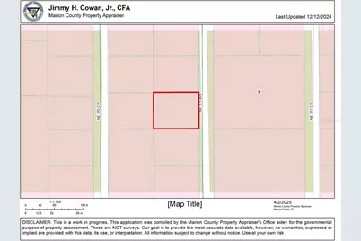 0 NE 171st Ave, Silver Springs, FL 34488 - Photo 3